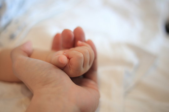 parent holding baby hands. small infant hands covered in father hand. love, care, support and comfort concepts. peaceful and loving family memory image.