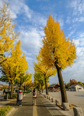Naklejka premium Street with autumn trees in Kyoto, Japan