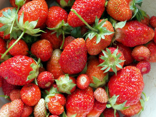 collected large ripe strawberries in a plate