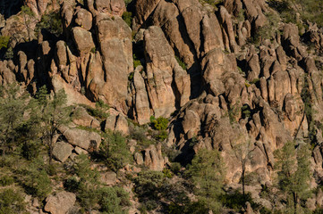 Mountain Side in Pinnacles