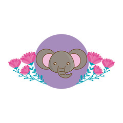 head of cute elephant in frame with flowers