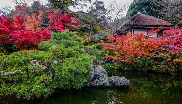 Autumn garden in Kyoto, Japan © Phuong