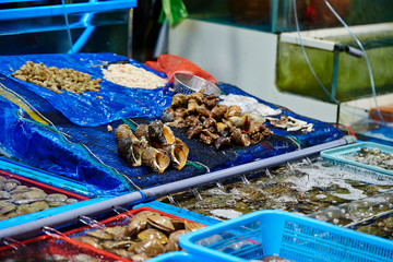 Various shellfishes at fish market