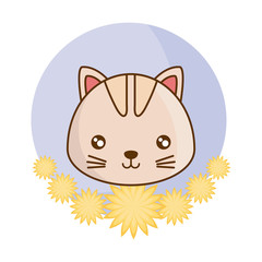 head of cute cat in frame with flowers