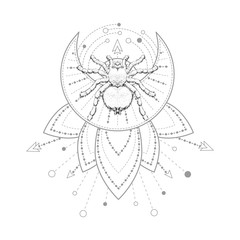 Vector illustration with hand drawn spider and Sacred geometric symbol on white background. Abstract mystic sign.