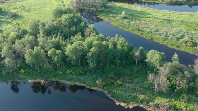 Aerial look-down tripod shot around lakes and birch trees.Around medows, green fields in the forest.Flying birdth.Sunrise,flares.Summer day, morning.