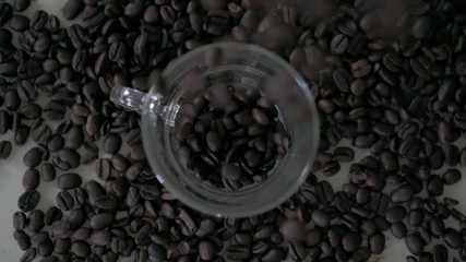 Coffee beans poured into an empty cup from above in slow motion - Powered by Adobe