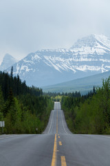 Road lined with trees leading to high rocky mountains