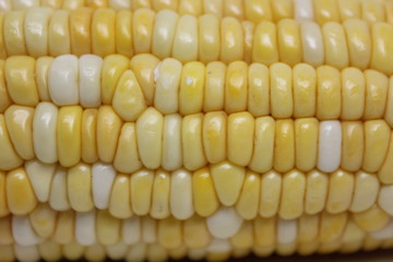 White and yellow Maize kernel.