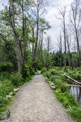 Fototapeta na wymiar easy hiking trail in the park near Killarney Lake Bowen island british columbia.
