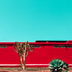 Cactus. Canary Island landscape. Fashion travel concept