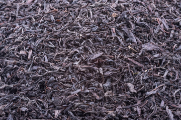 Background of dried tea leaves of dark color. Macro.