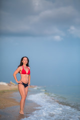 a slender brunette in a bikini stands on a sandy beach near the surf
