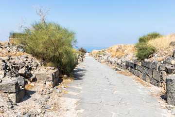 Cobbled  road in the ruins of the Greek - Roman city of the 3rd century BC - the 8th century AD Hippus - Susita on the Golan Heights near the Sea of Galilee - Kineret, Israel