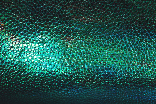 Fish or reptile scale dark moody background.
