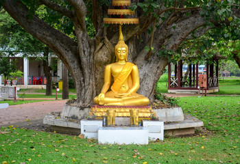 beautiful gold color buddha statue sitting under bodhi tree,  peaceful, meditation or enlightenment...