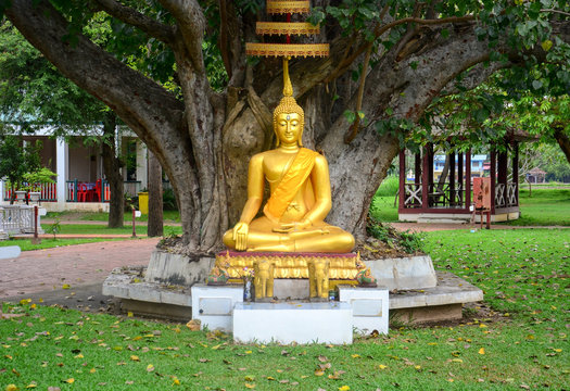 Buddha Sitting Under A Bodhi Tree Images Browse 292 Stock Photos