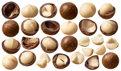 Macadamia nuts set isolated on white background. Package design elements with clipping path - obrazy, fototapety, plakaty