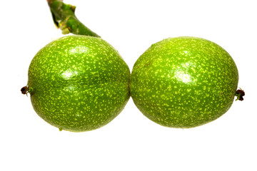 walnut isolated on white background