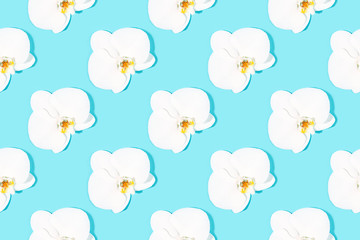 Seamless pattern made with white orchid on turquoise background.