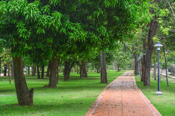 landscape of straight red brick pathways with green lawns in the garden
