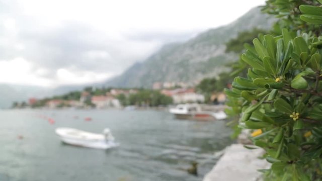 Attractions and the coastal town of Kotor. Panorama of the Gulf in Montenegro, Kindness.