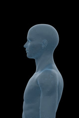 Human Body, Male, Man