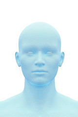 head of Human Body, Male, Man