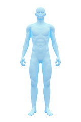 Human Body, Male, Man