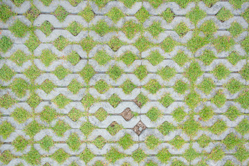 top view tiles with green grass