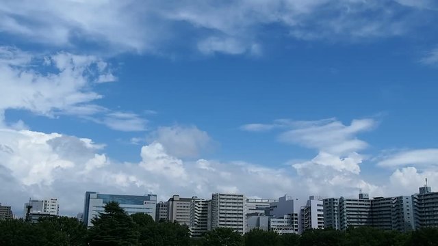 青空に浮かぶ入道雲雨雲/スピードノーマル