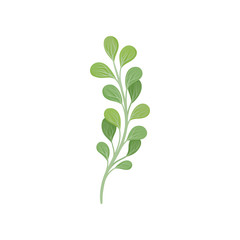 Curved stem with leaves. Vector illustration on white background.