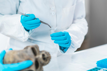 Bioarcheology.  Archaeologist Analyzing Ancient Human Osteological Material in Laboratory