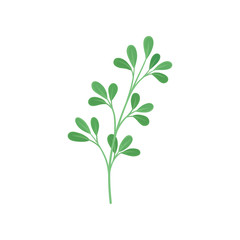 Branched stem with leaves. Vector illustration on white background.