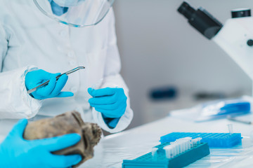 Bioarcheology.  Archaeologist Analyzing Ancient Human Osteological Material in Laboratory