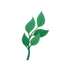 Stem with five leaves. Vector illustration on white background.