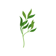 Branched curved stem. Vector illustration on white background.