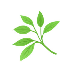 Six leaves on the stem. Vector illustration on white background.