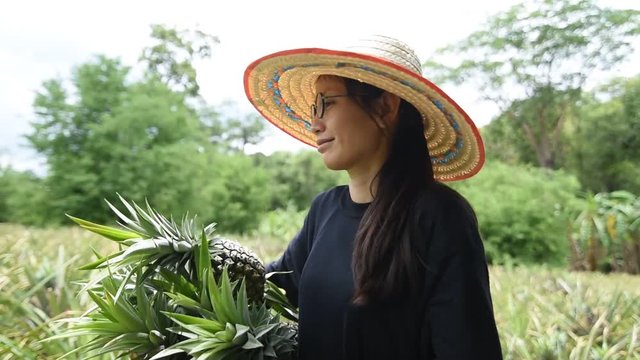 Close-Up Gimbal Shot Of Asian Farmer Woman Hands holding pineapple organic produce from farm.