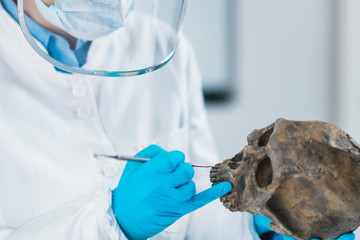 Ancient DNA Scientist Working in Bio Archaeology Lab