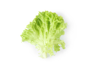 Leaf of fresh lettuce for burger isolated on white, top view