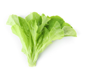 Leaf of fresh lettuce for burger isolated on white, top view