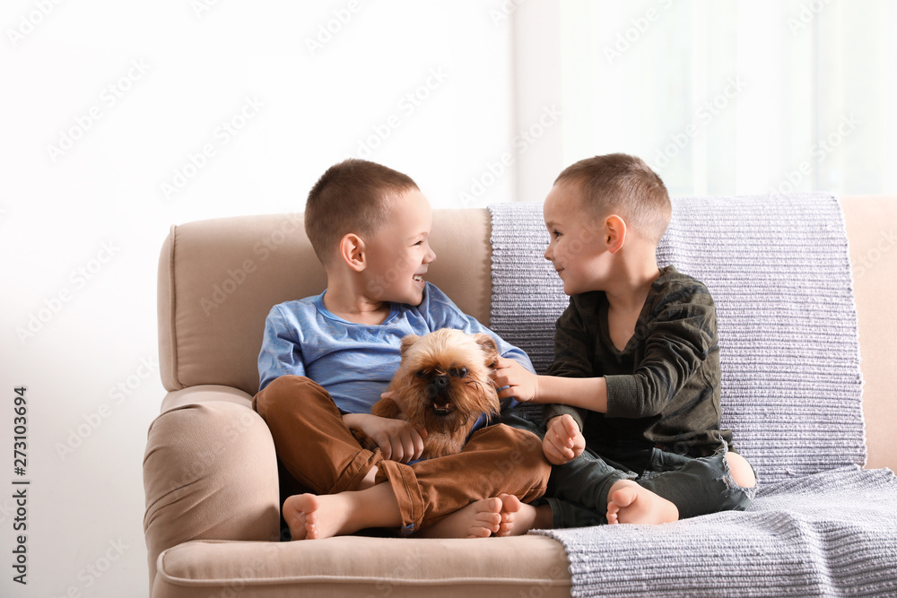 Sticker portrait of cute boys with funny brussels griffon dog at home. loyal friends