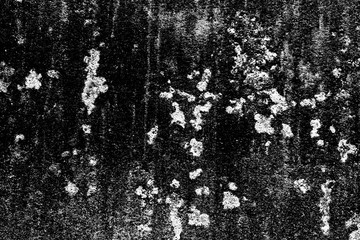 black and white background