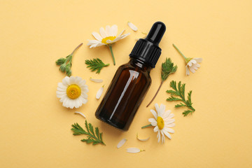 Flat lay composition with chamomile flowers and cosmetic bottle of essential oil on color background