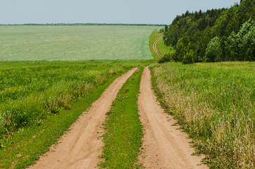 Fototapeta na wymiar Country road near the forest in summer