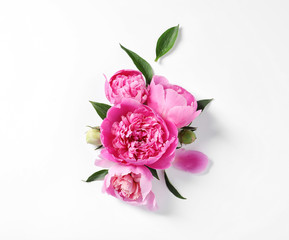 Beautiful peony flowers on white background, top view