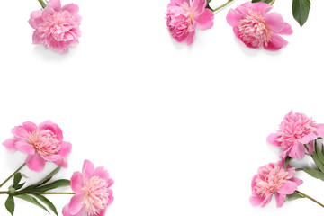Beautiful peony flowers on white background, top view. Space for text