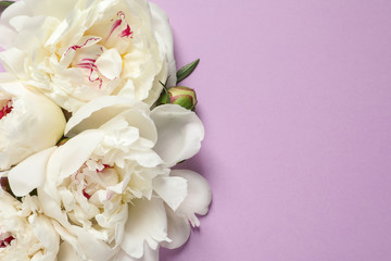 Beautiful peonies on color background, flat lay with space for text