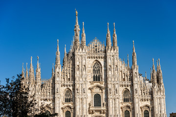 Fototapeta premium Duomo di Milano - Milan Cathedral - Lombardy Italy